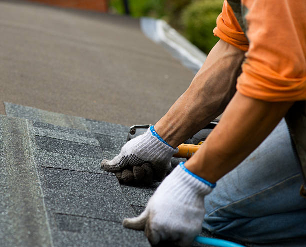 Best Residential Roof Replacement  in Clay City, KY